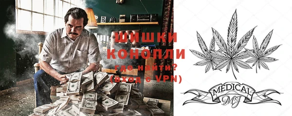 бошки Алексин