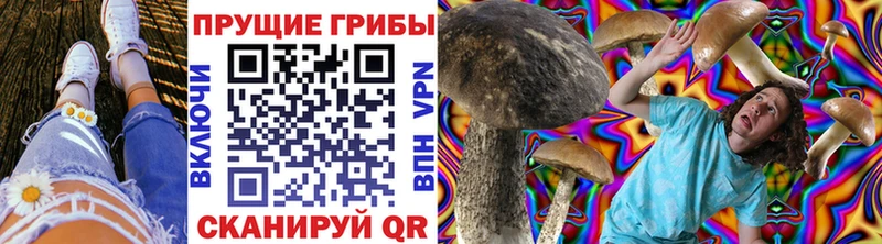 цены наркотик  площадка клад  Галлюциногенные грибы GOLDEN TEACHER  Куровское 